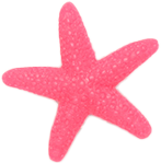 Pink Starfish