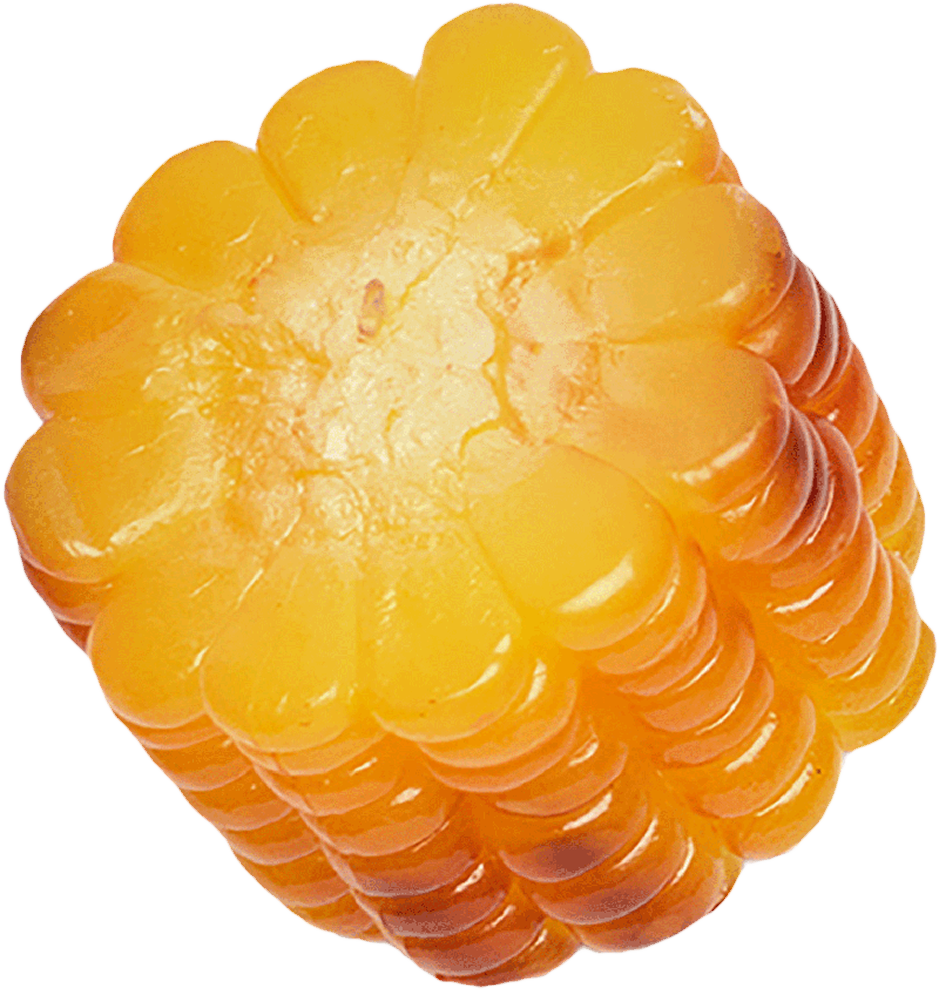 Corn
