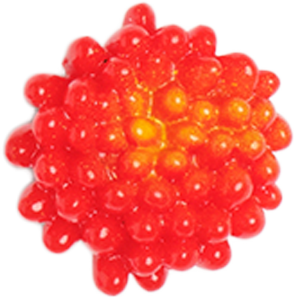 Red Item