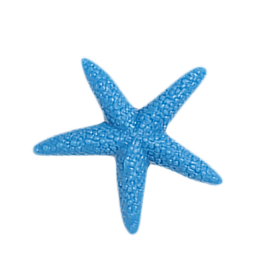 Starfish Blue