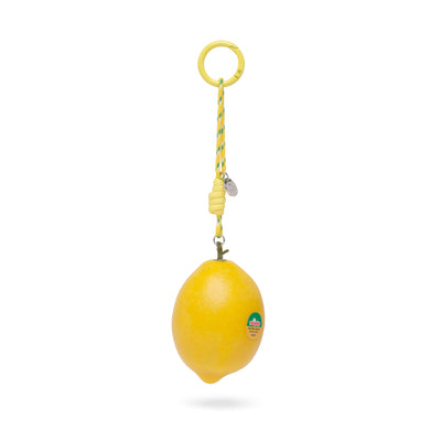 lemon loop keyring