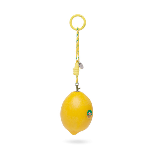 lemon loop keyring