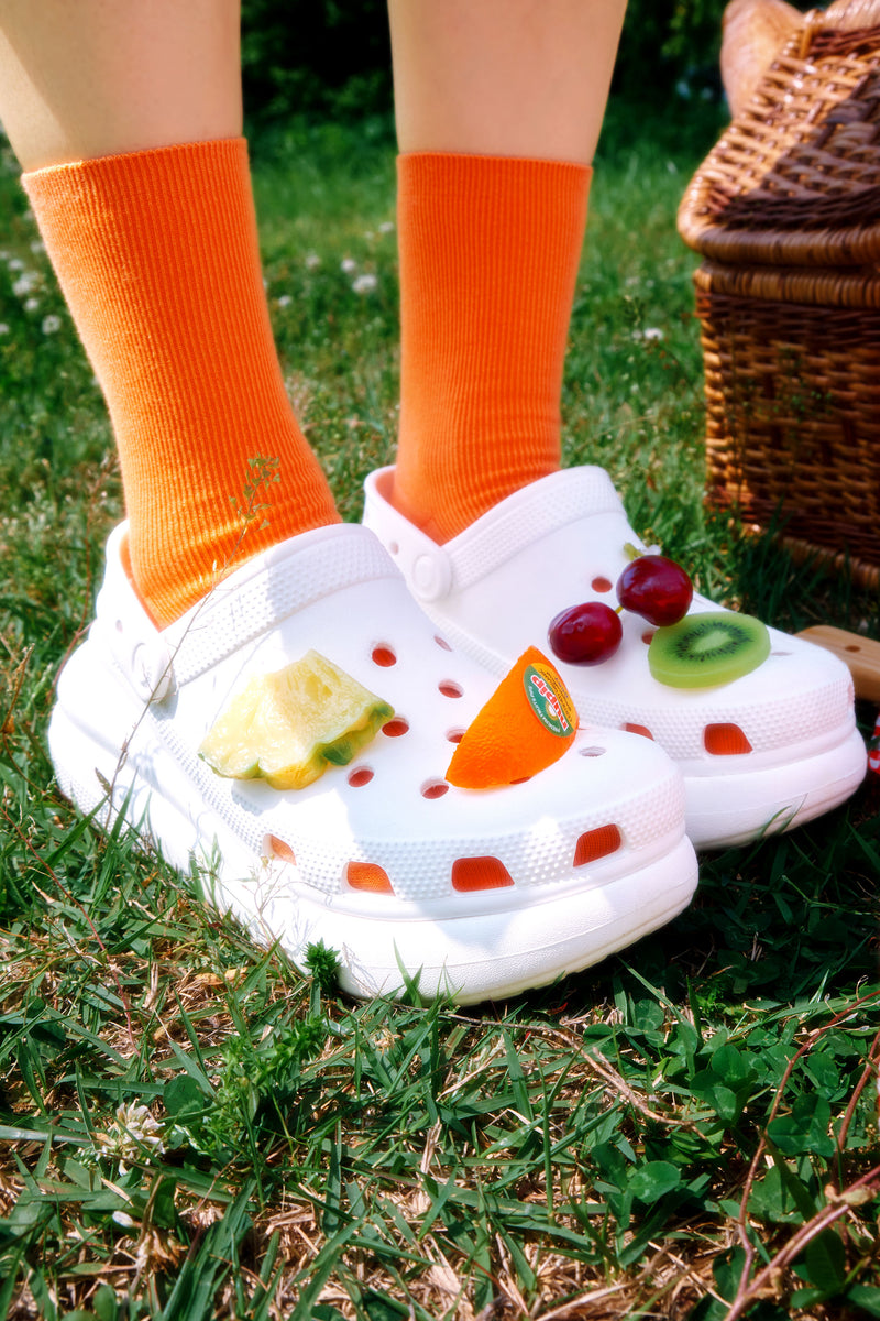 2025 nupip Picnic - 이미지 7