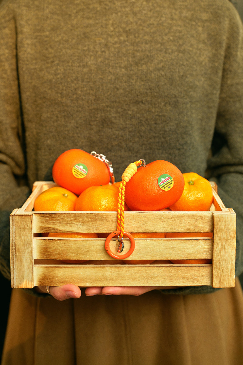 2025 Autumn Garden - 이미지 16