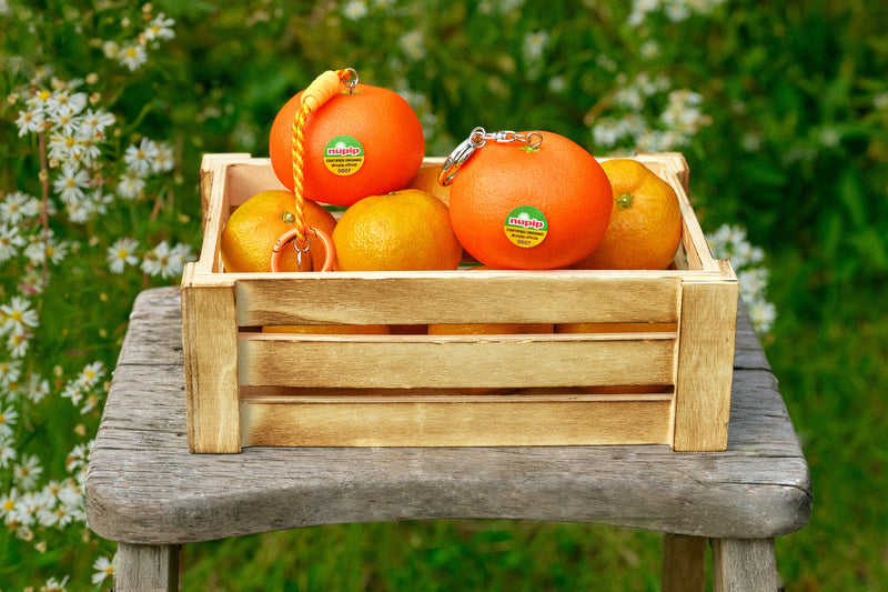 2025 Autumn Garden - 이미지 18