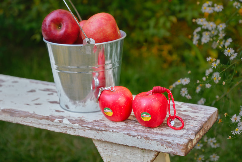 2025 Autumn Garden - 이미지 2